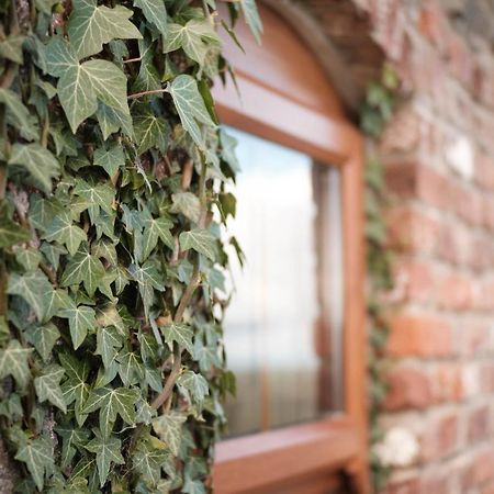Drumnavaddy Cottage Dromore  Ngoại thất bức ảnh