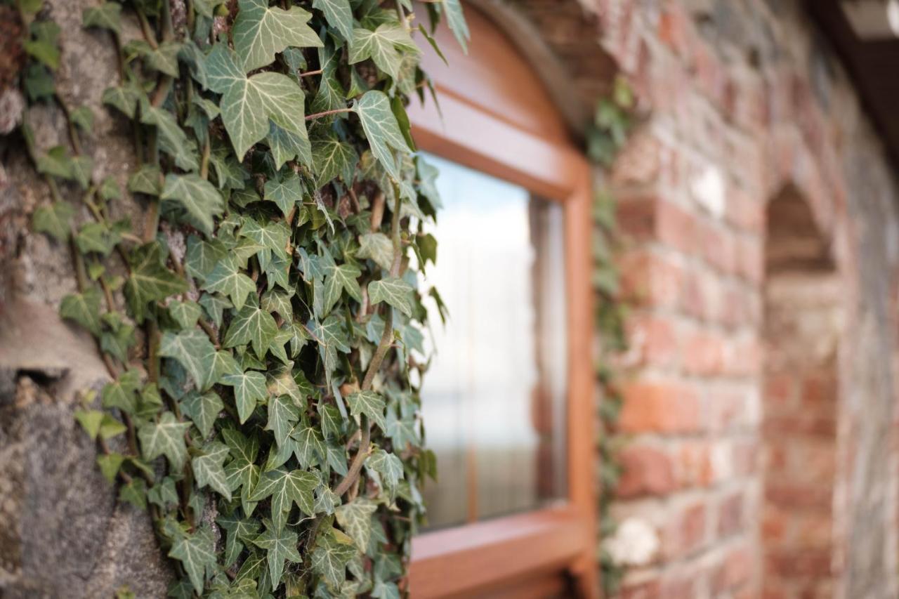 Drumnavaddy Cottage Dromore  Ngoại thất bức ảnh